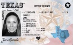 identification-card-texas-carding-forums.jpg